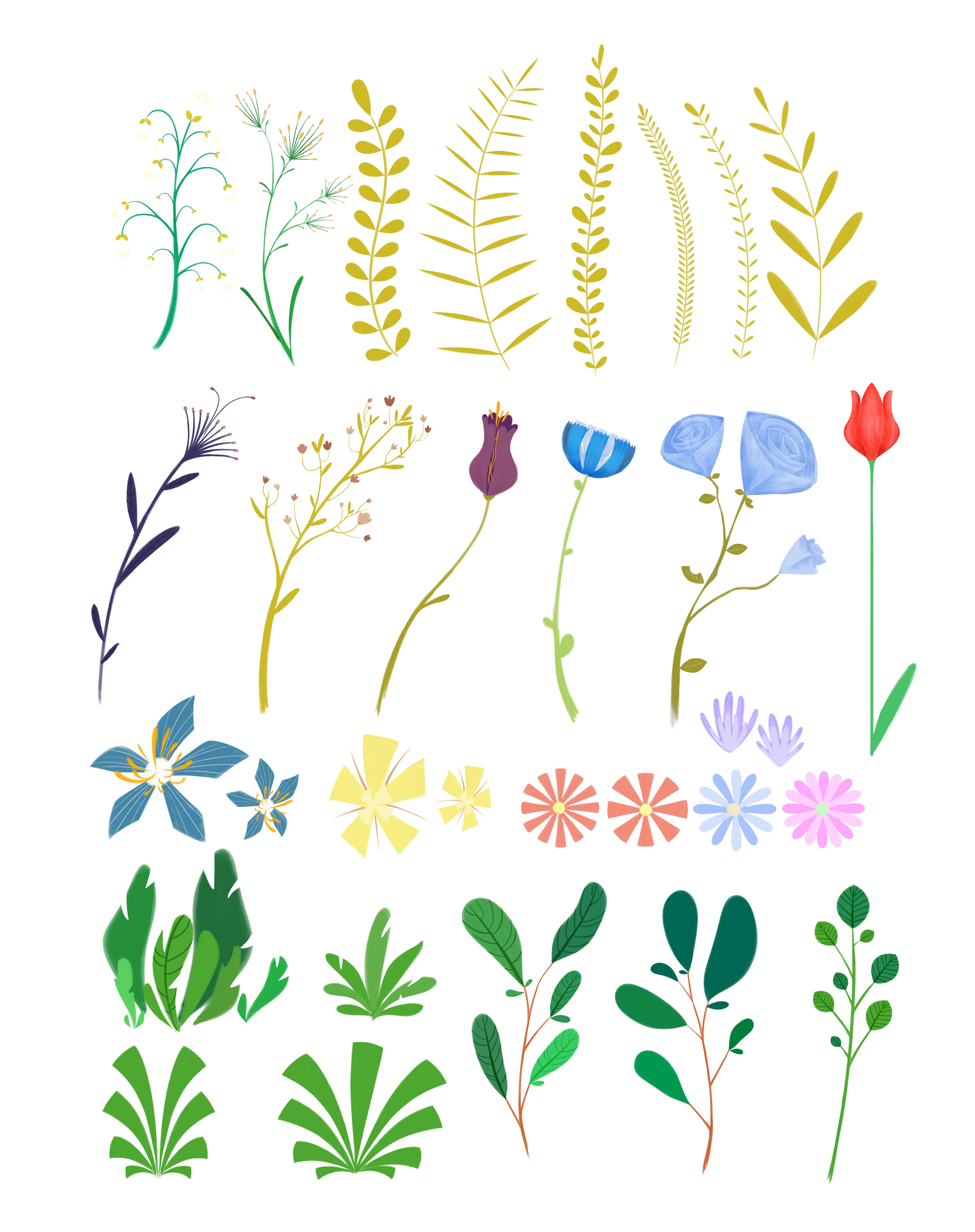 Le Roi Tulipe — plant library: the flowers, leaves and grasses of the garden, with the red tulip