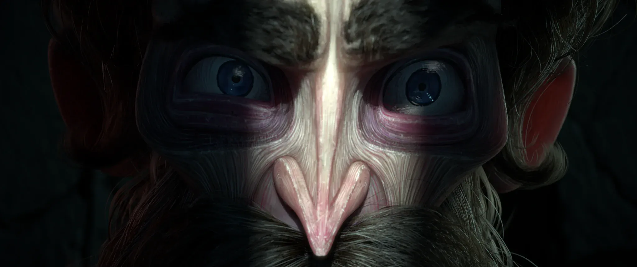 Le Roi Tulipe — extreme close-up on the King's wide blue eyes