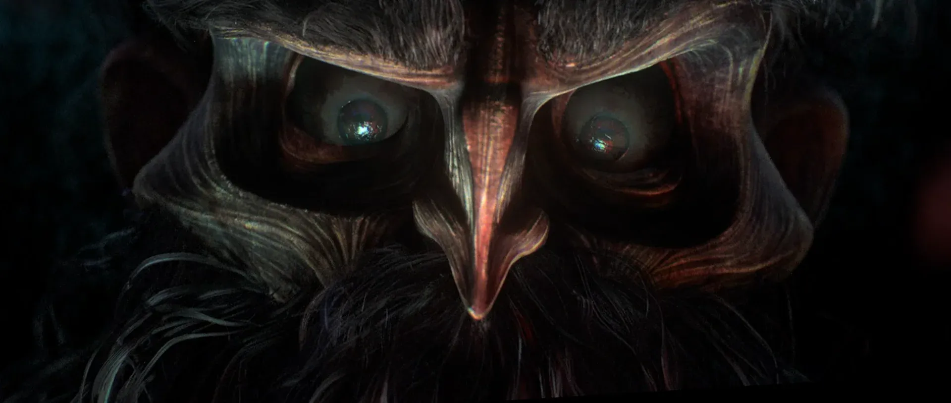 Le Roi Tulipe — extreme close-up on the King's eyes in the darkness